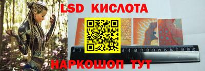 крисы Боровичи