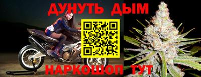 крисы Боровичи