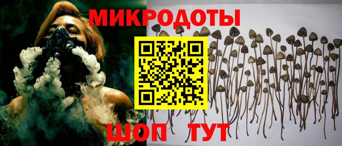 Псилоцибиновые грибы GOLDEN TEACHER Лабытнанги